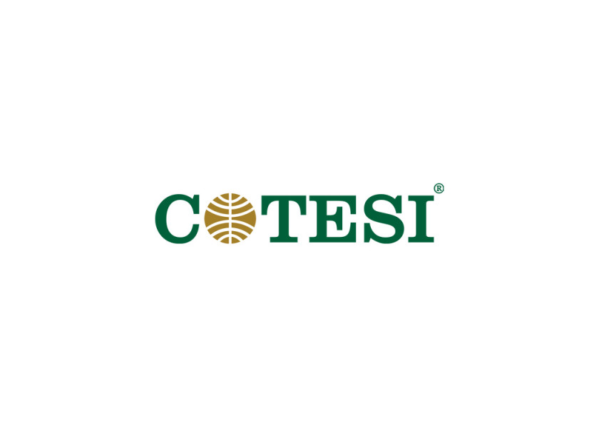 Cotesi